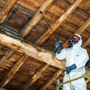 traitement-charpente-gironde